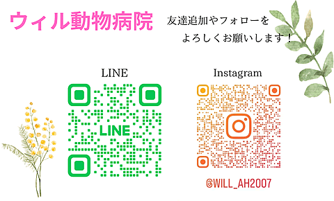 LINEとインスタグラム